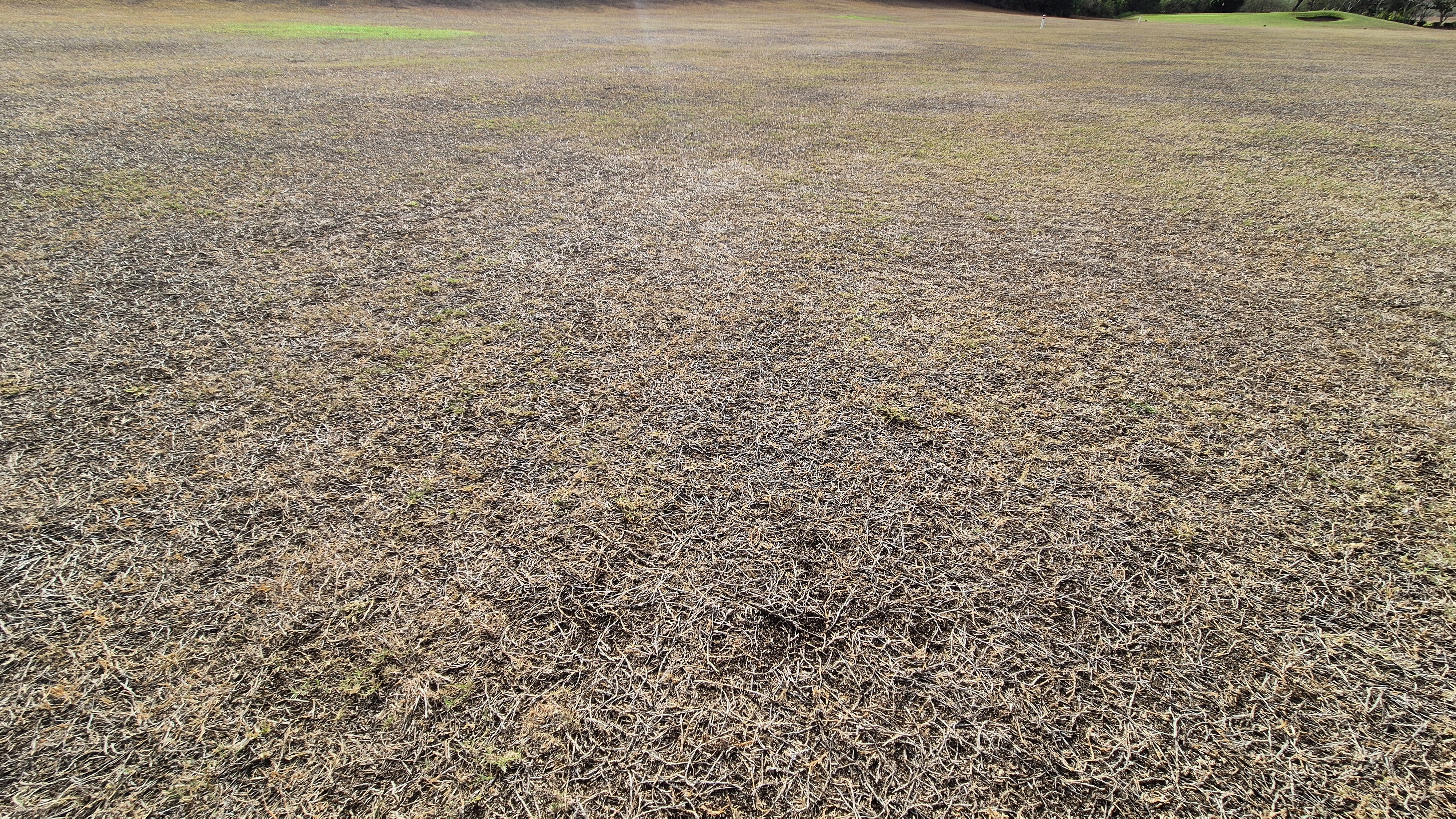 코랄오션cc 골프 라운드