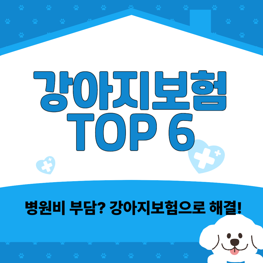 강아지 보험