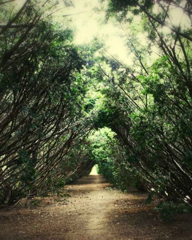 6월 전국축제 일정표[서울, 경기]