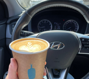 제주-렌트카-예약