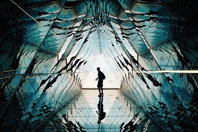 희귀 직업이 기술 발전에 미친 영향