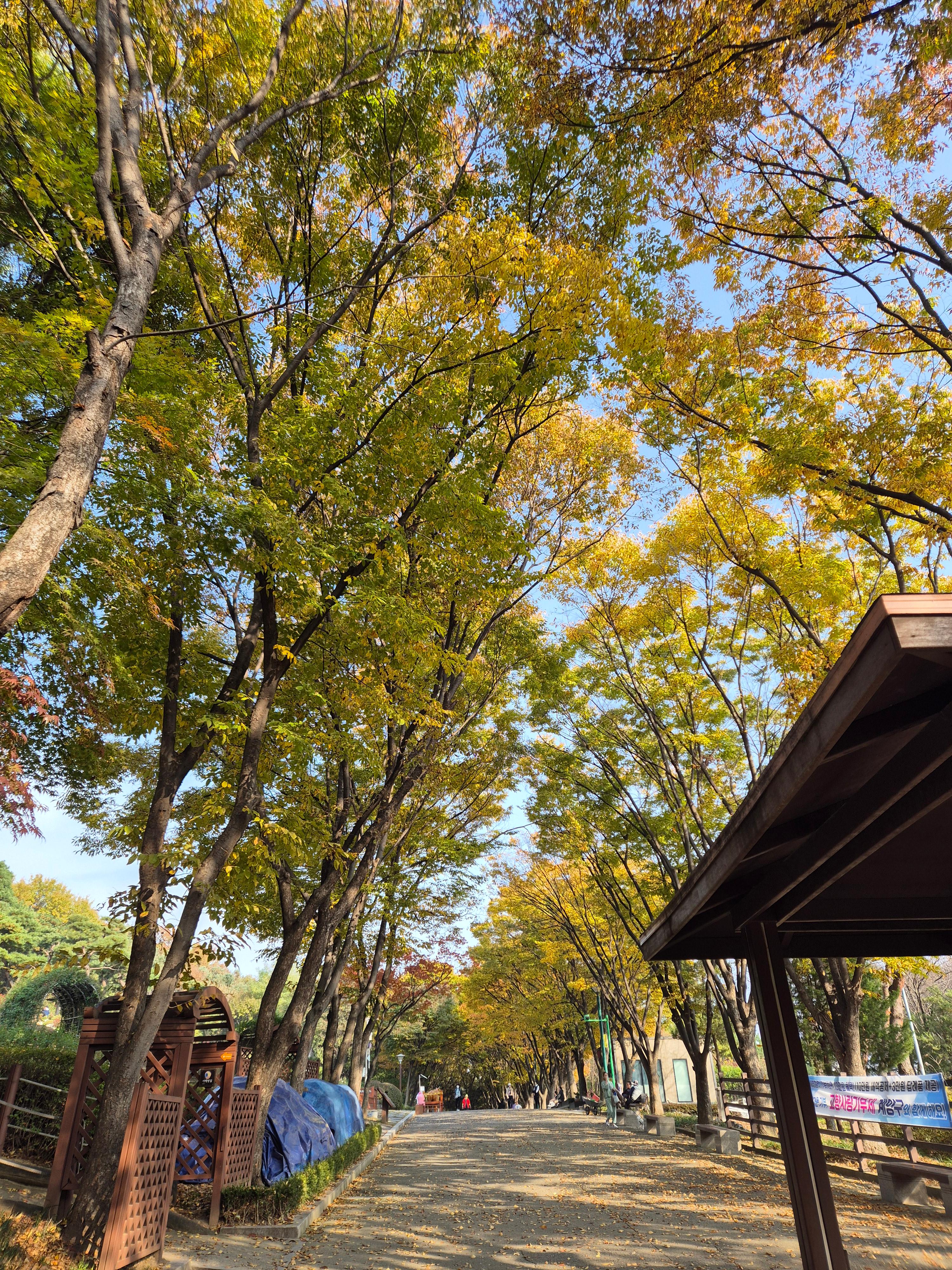 계양산 인천둘레길 내려오는 길