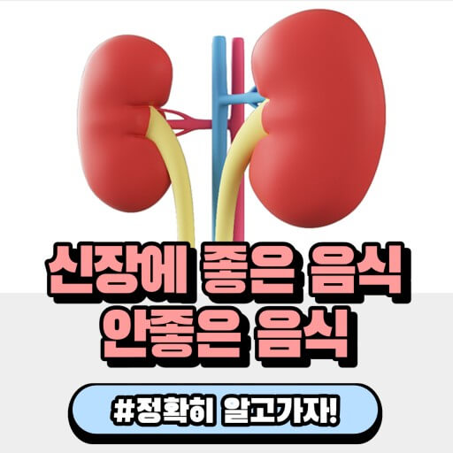 신장에 해로운 음식