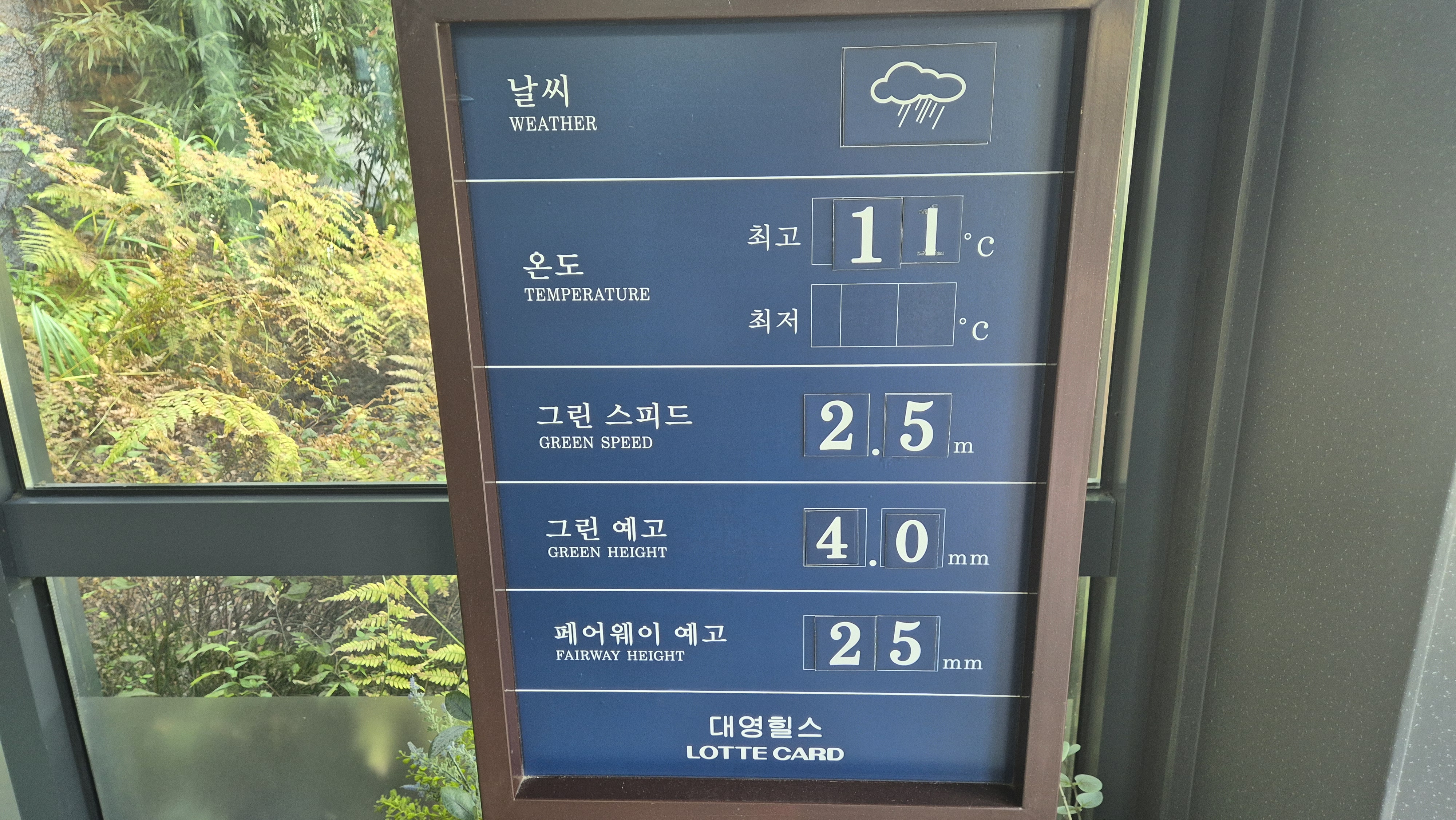 대영힐스cc 청-력 코스 라운드 후기