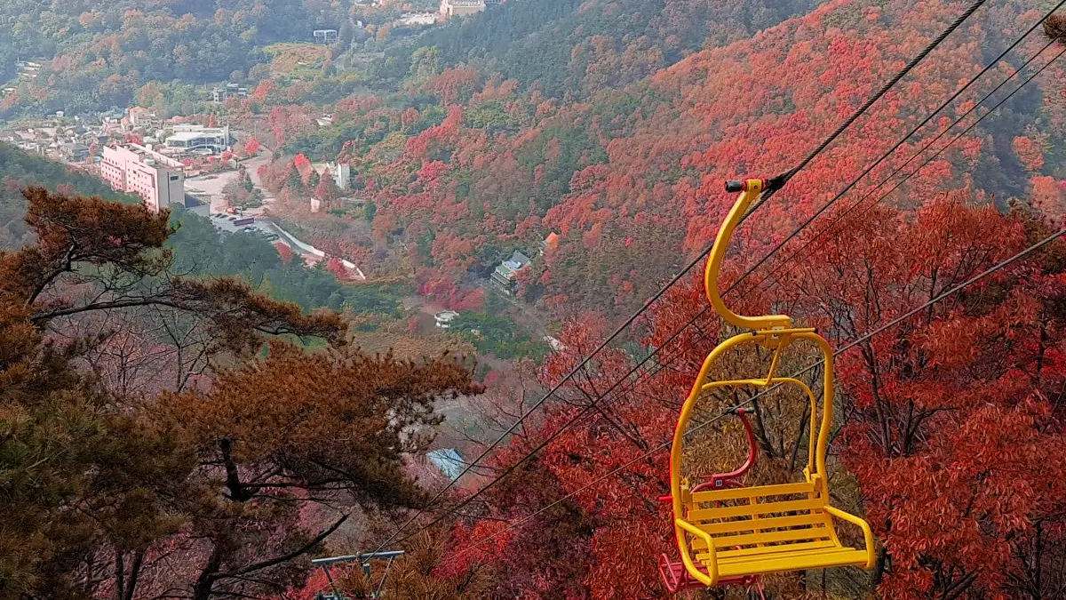 장원봉