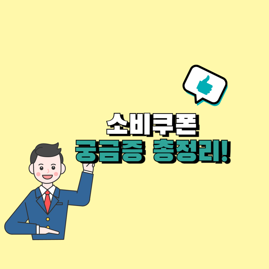 민생회복 소비쿠폰 군인