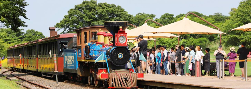 제주 아이와 가볼만한곳2