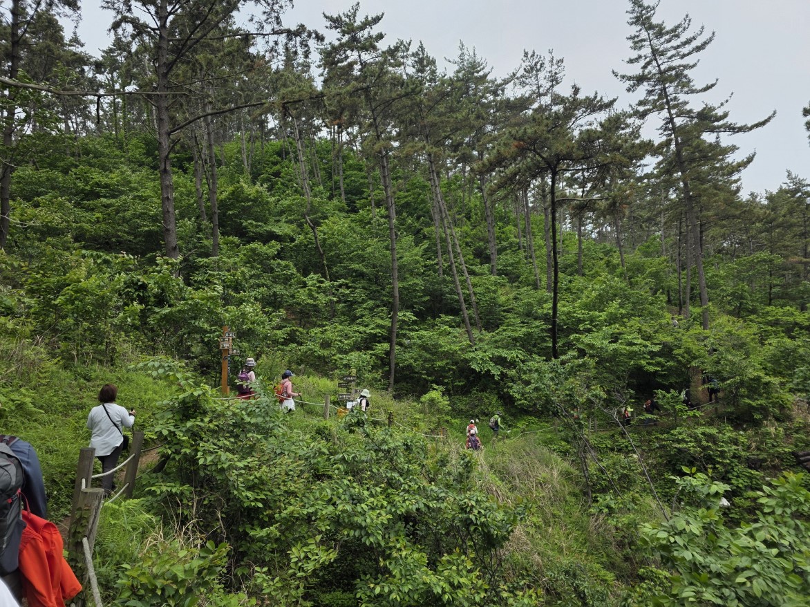 태안 서해랑길 완주 원정대 서해랑길 72코스