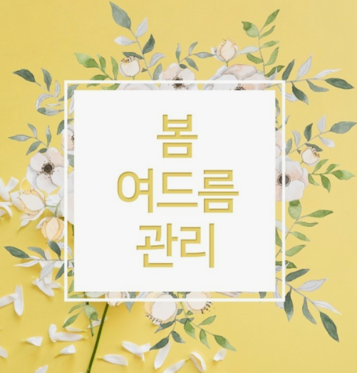 봄 여드름 관리 이미지