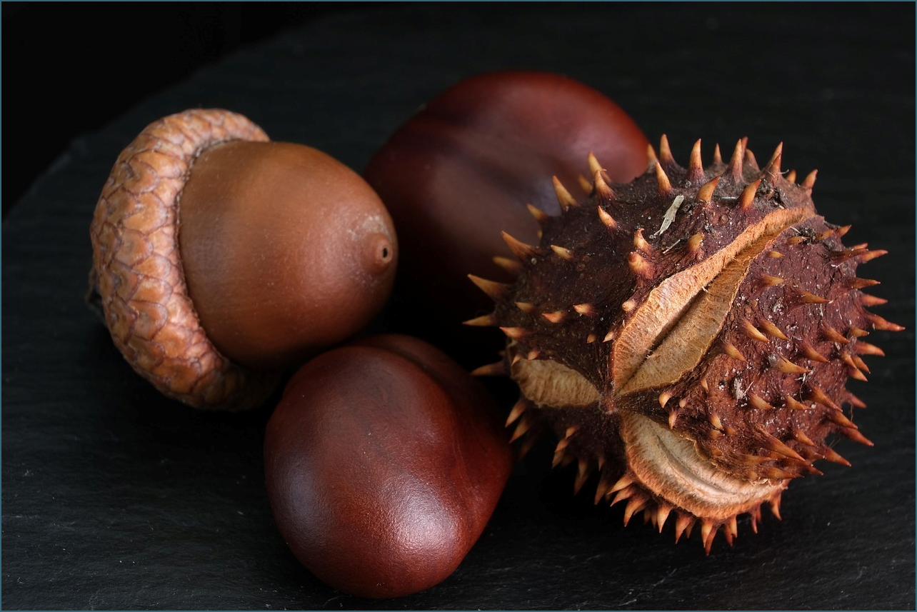 타자연습 바로가기