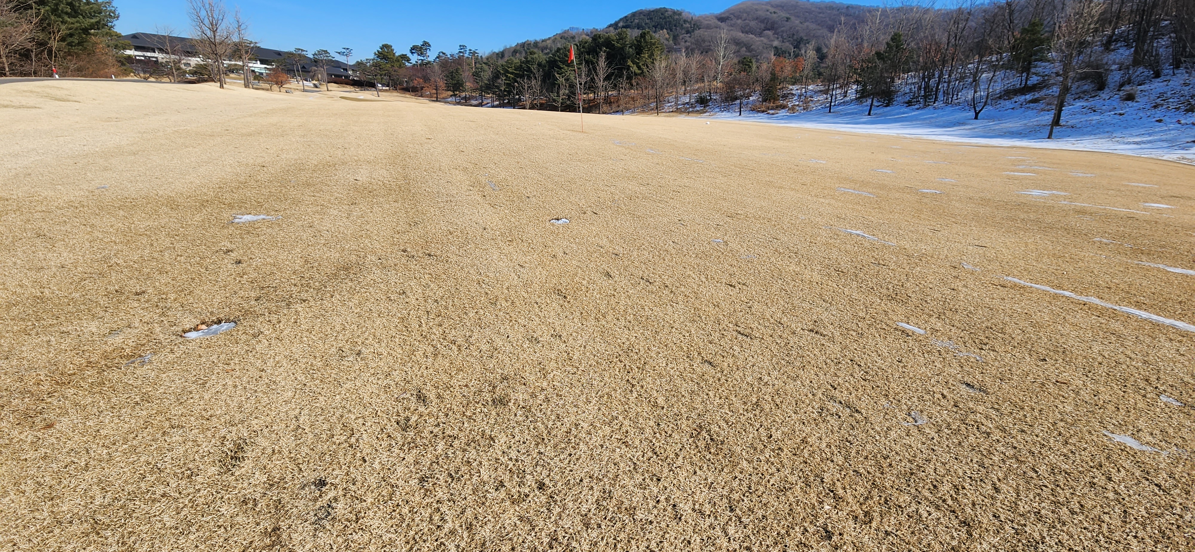 레이크사이드cc