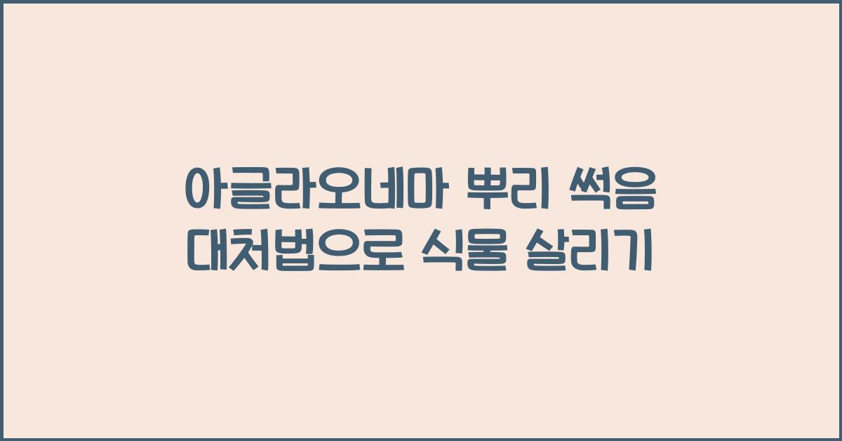 아글라오네마 뿌리 썩음 대처법