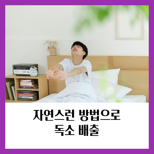 스트레칭은 몸속 독소를 자연스럽게 배출하는 데 도움이 되며, 전반적인 건강과 웰빙을 증진시킬 수 있습니다.