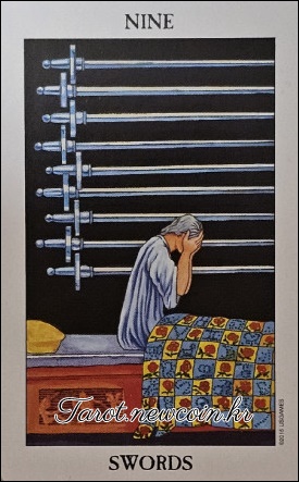 오늘의 타로 운세