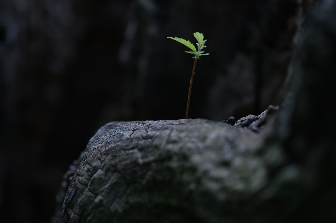 Hope