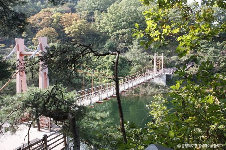 충주호 출렁다리 종댕이길