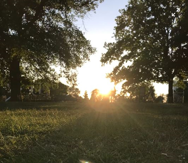 햇빛이 강한 여름 사진