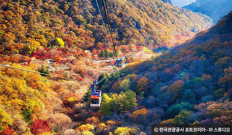 내장산 단풍 케이블카
