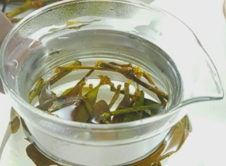 말린 겨우살이로 만든 겨우살이 차 사진입니다.