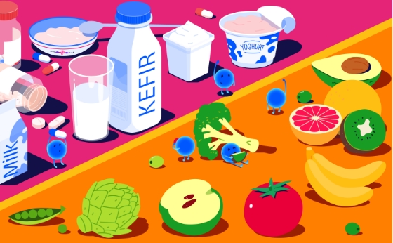 몸에 좋다는 '프리바이오틱스'가 많은 식품들 Scientists name top five foods rich in prebiotics