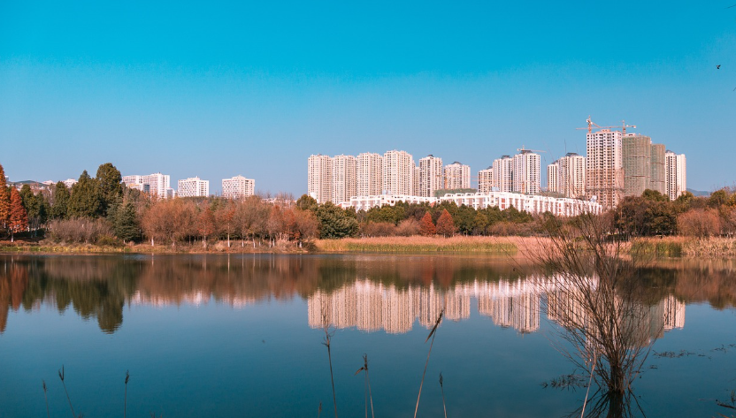 수도권 경매시장 관련 이미지