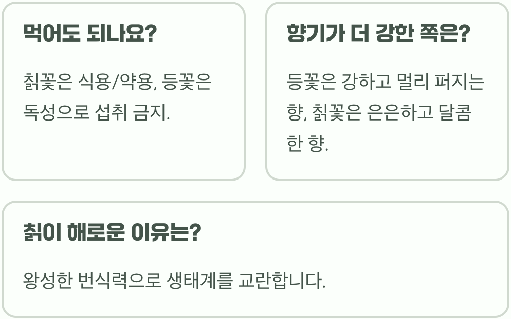 칡꽃 vs 등꽃(등나무꽃)&amp;#44; 헷갈리는 두 보라색 꽃 완벽하게 구별하는 법