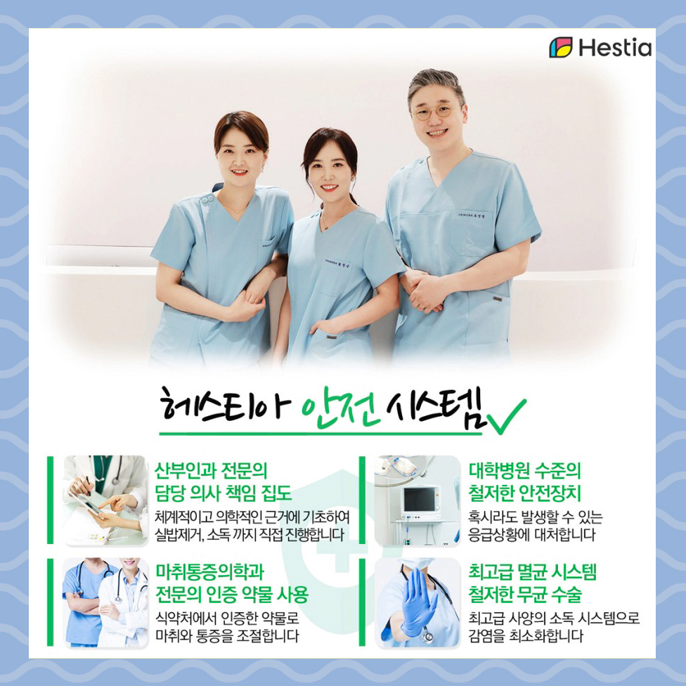 헤스티아 안전시스템