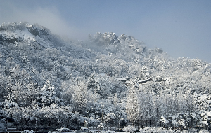 목포 유달산