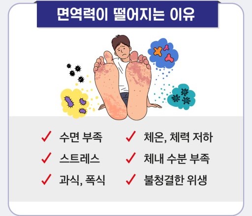 면역력을 쉽게 높이는 방법