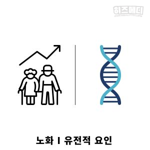 위축성 위염 증상 합병증