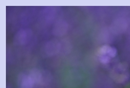 6월 국내 여행지 추천