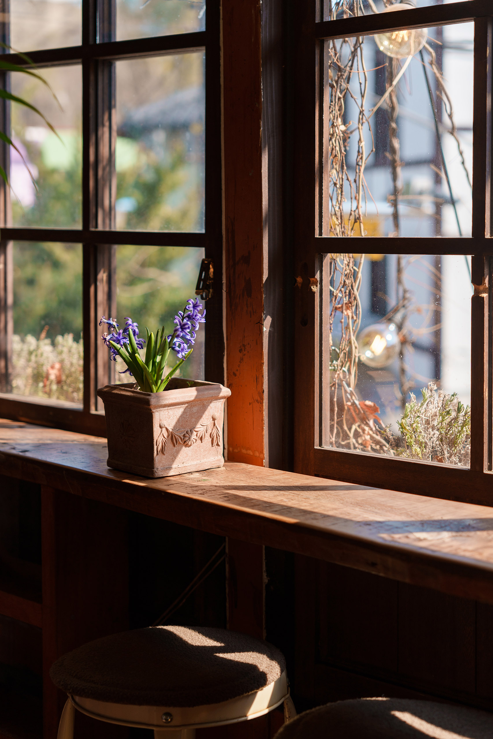 카멜리아 인 구룡포 2층 실외