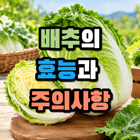 배추의 효능