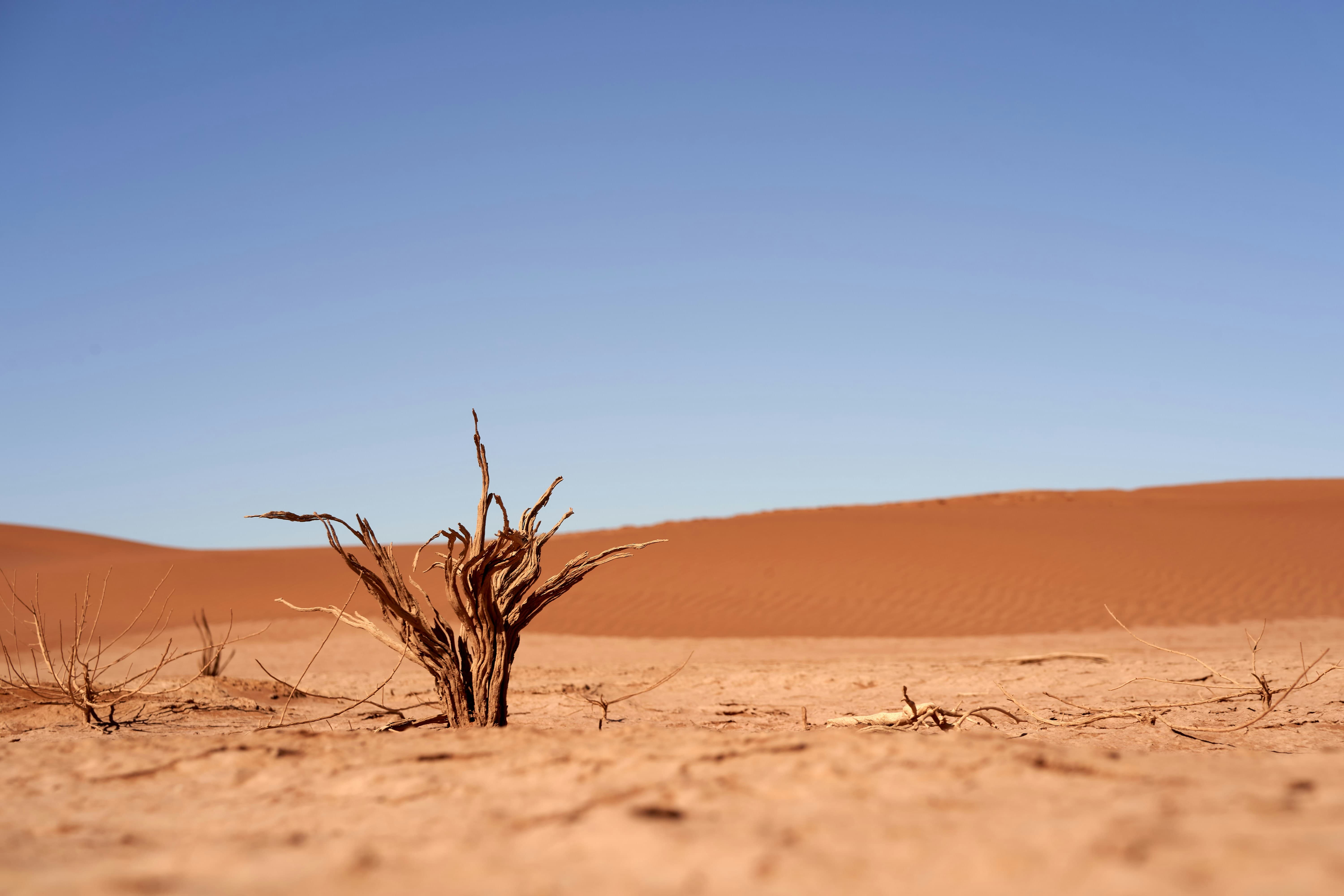 기후우울증과 실천의 힘