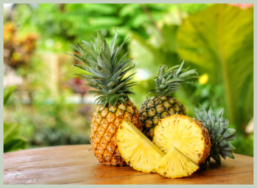 브로멜라인 효소