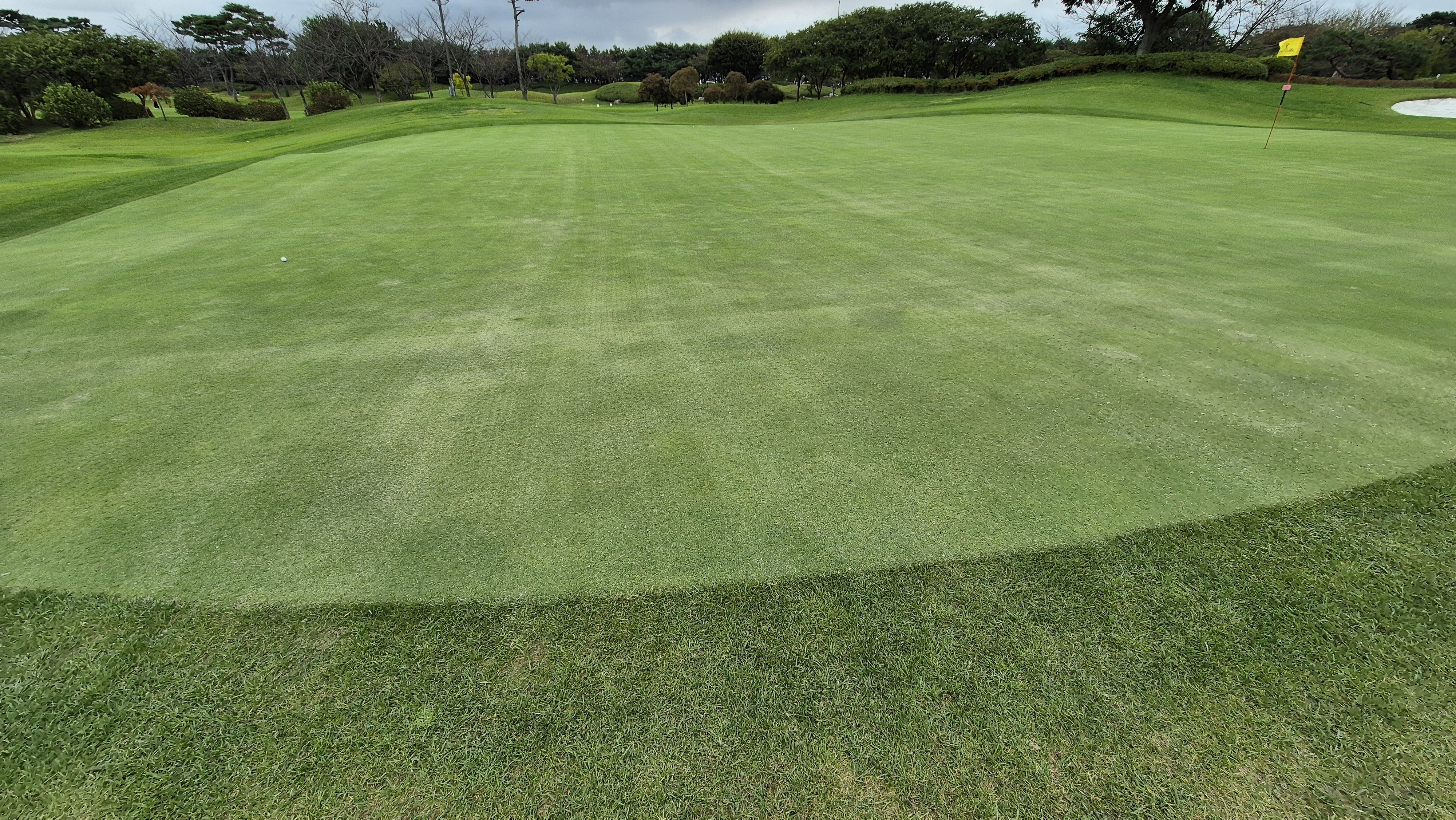 파인스톤cc 그린 관리 상태