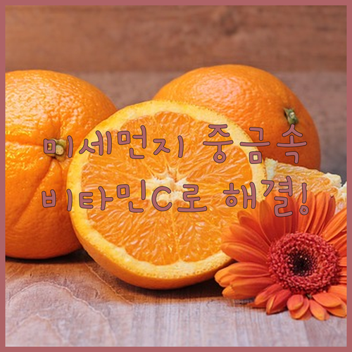 미세먼지 속 중금속 해독 돕는 비타민..