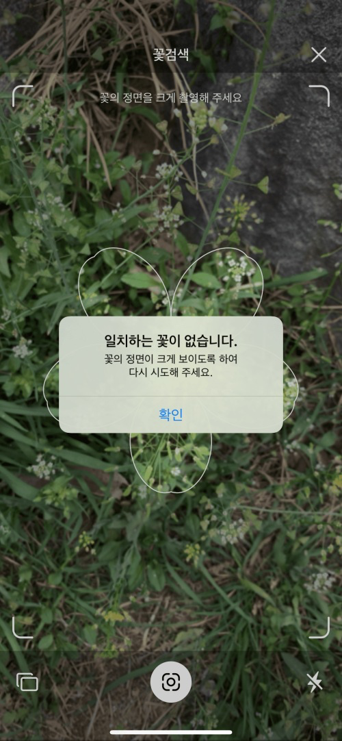 꽃 이름 검색이 잘 이뤄지지 않을 때 메시지 확인