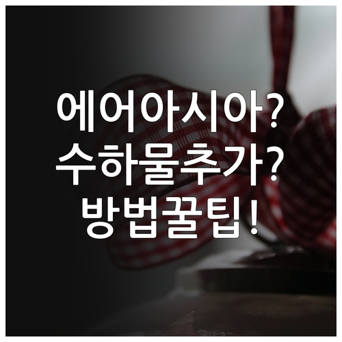 에어아시아엑스 위탁수하물 추가 구매 ..