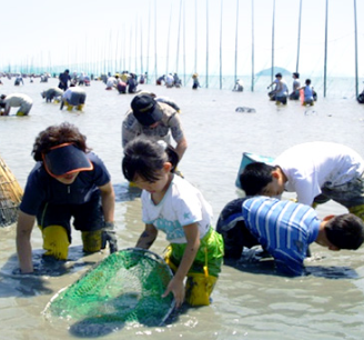 개막이이체험사진