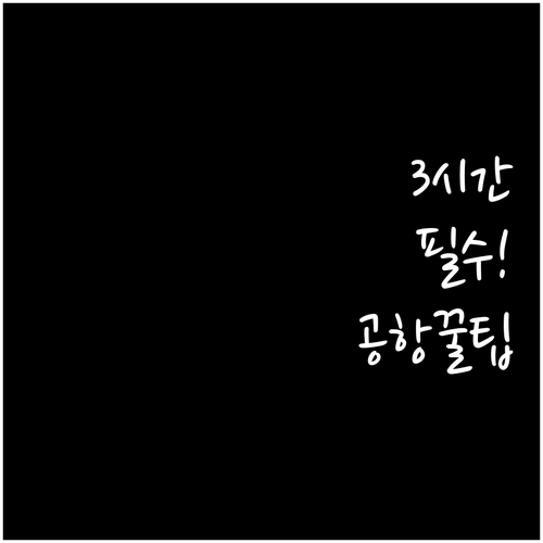 카놋샤크 항공 체크인 공항 도착 추천..
