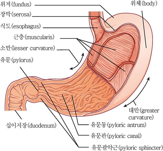 위 위치