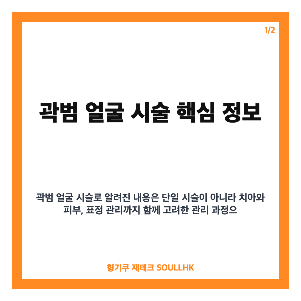 곽범 얼굴 시술, 치아 복구부터 레이저&middot;보톡스까지 공개한 관리 비용 카드뉴스 1