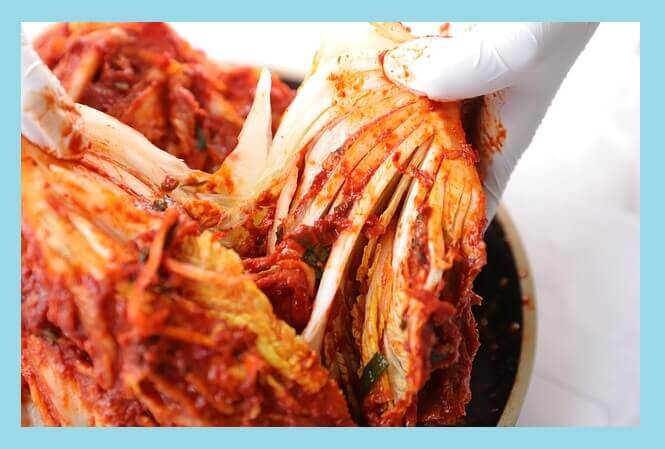 김치-포기