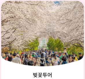  진해군항제 