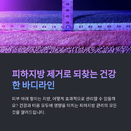 피하지방 제거로 되찾는 건강한 바디라인 전략