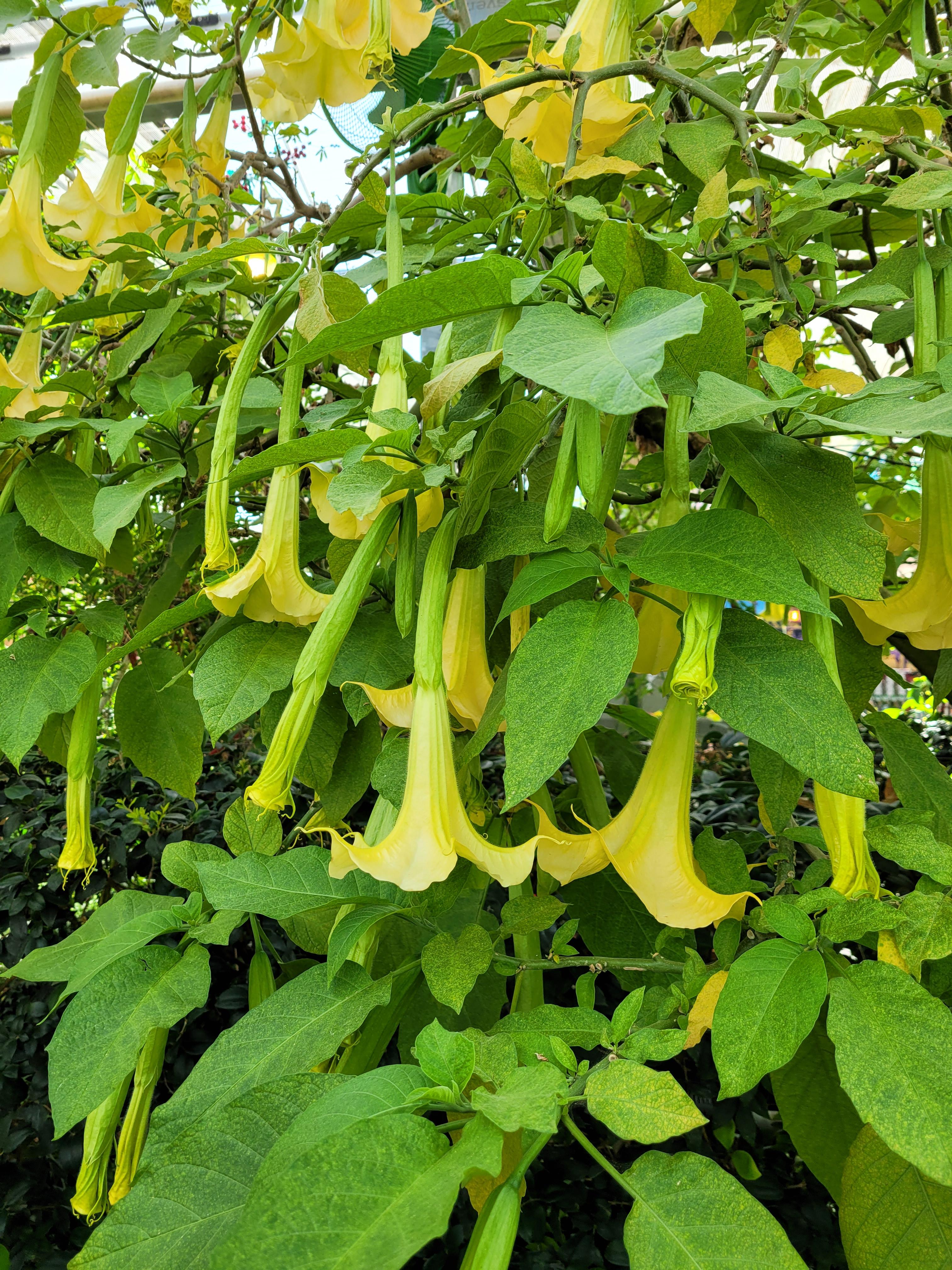 토지 투자 초보자가 반드시 피해야 할 대표적인 실수들