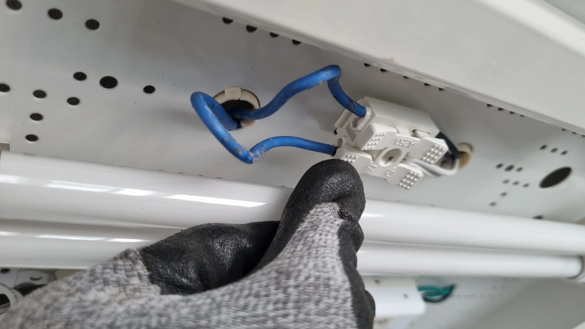 전등 전선 분리 모습