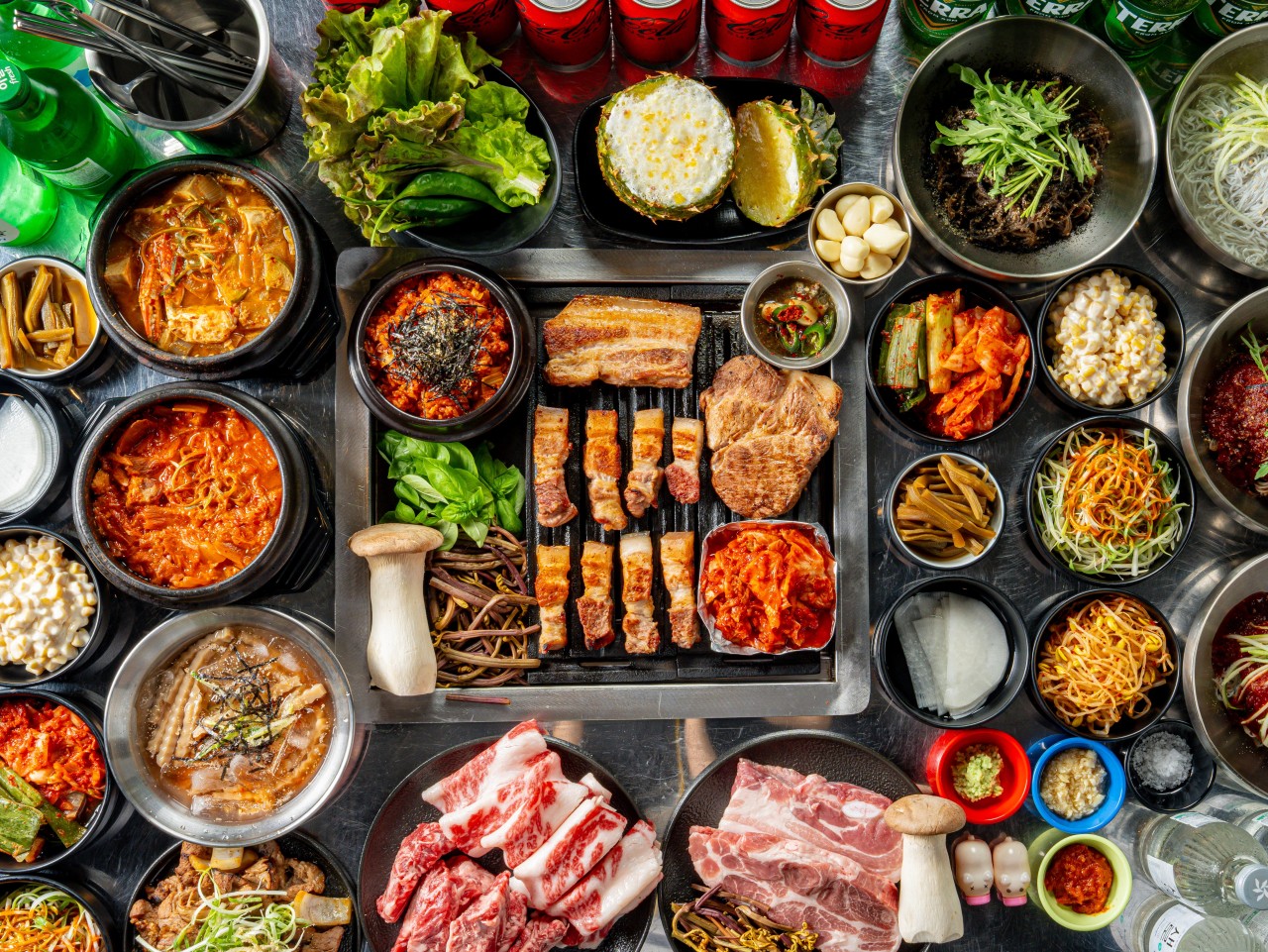 대지안집