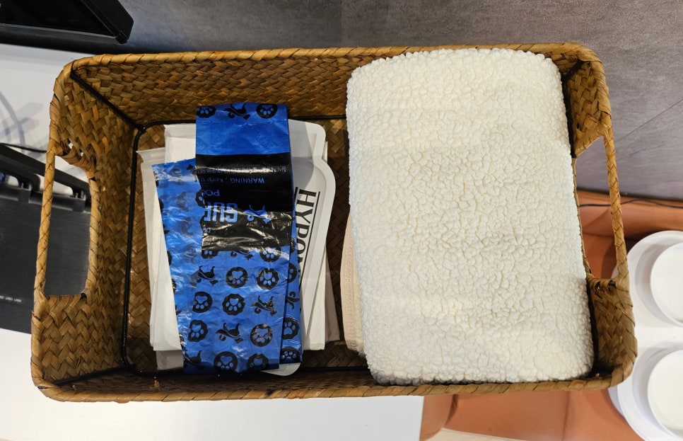 풀스테이 스테이온 가평